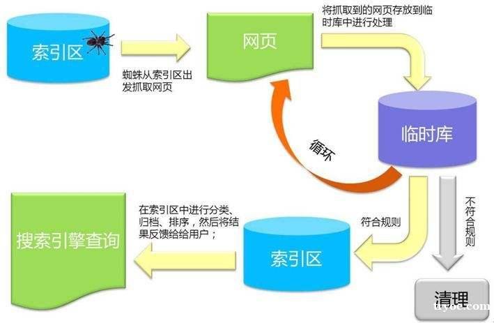 搜索引擎蜘蛛抓取策略，吸引更多蜘蛛