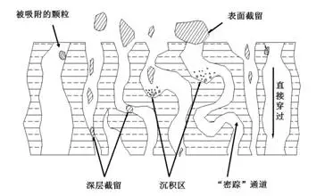 抗体生产中的发酵液澄清工艺(图3)