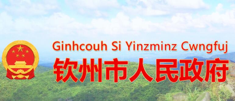 钦州市人民政府网官网www.qinzhou.gov.cn