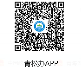 青松办APP官方下载入口https://www.qhzwfw.gov.cn/