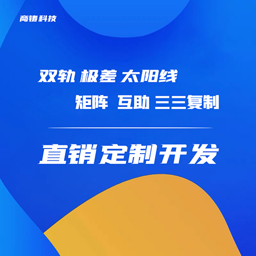 双轨直销系统开发,太阳线直销软件定制,级差系统开发,矩阵式软件定制