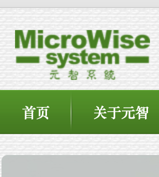 元智系统技术