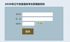 2020年辽宁省高考志愿填报系统