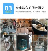 太原猫狗至全国宠物托运服务航空专车大巴