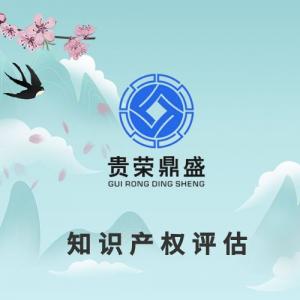 上海市专有技术评估无形资产评估专利评估机构