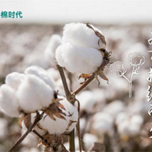 全棉时代以棉花之力，履行企业环保责任