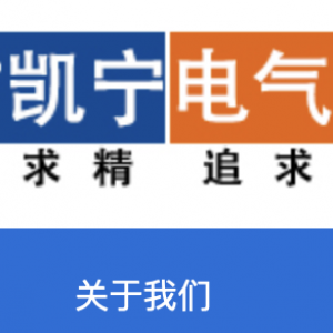 凯宁电气-廊坊凯宁电气设备有限公司