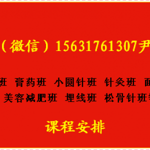 和派（小）园针培训班.园针班.治疗颈椎病.腰椎病技术