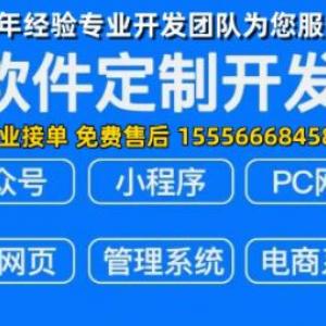 APP开发_网站建设_软件定制开发_商城系统开发-15年开发经验