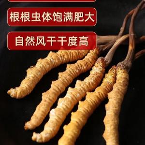 丽江市回收冬虫夏草-按下级-中级-上级-王级定等论克价