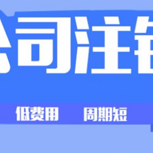 十三年财税公司专业注销变更公司个体